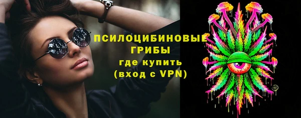 молекула духа Алексин