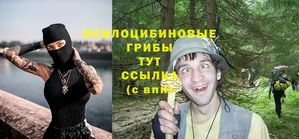 PSILOCYBIN Алексеевка