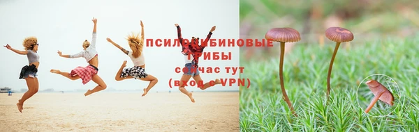 молекула духа Алексин
