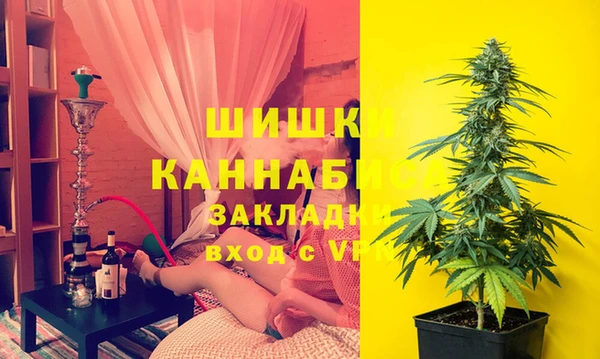 apvp Алзамай