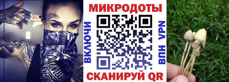 Псилоцибиновые грибы ЛСД Порхов