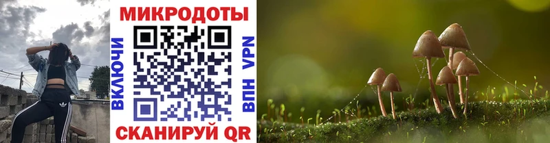 Галлюциногенные грибы Cubensis  Порхов 